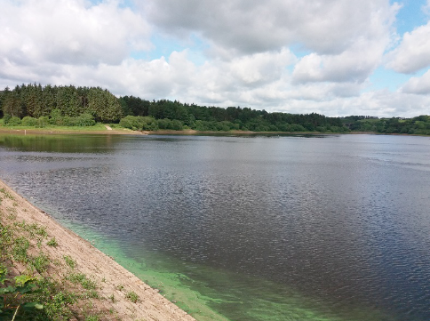 Screen Shot 2019-06-21 at 20.26.30