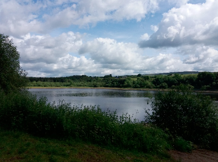 Screen Shot 2019-06-21 at 20.27.05